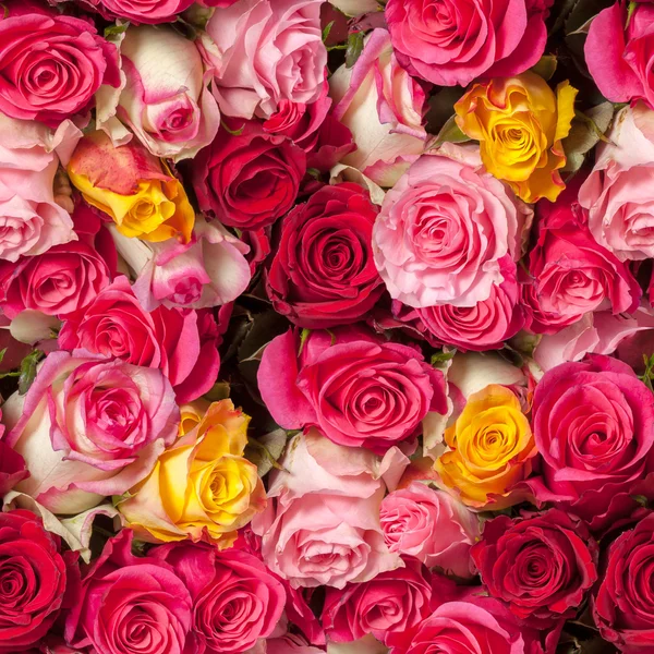 Fondo de rosas sin costuras — Foto de Stock