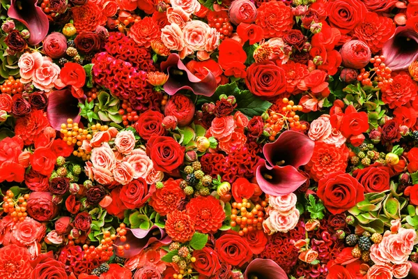 Fondo abstracto de flores. Primer plano. —  Fotos de Stock