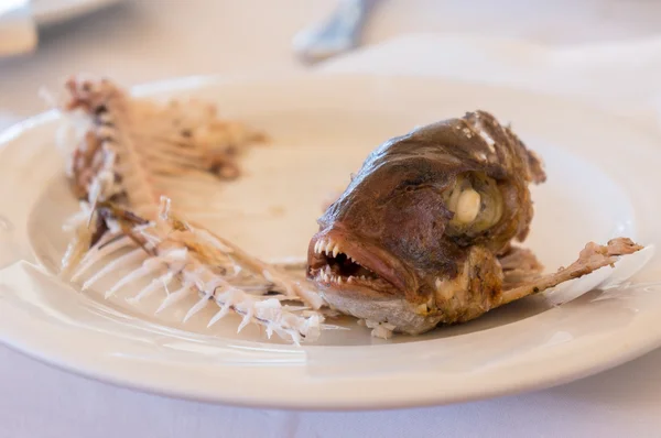 Opgegeten vis met kop en staart - symbool van ellende — Stockfoto