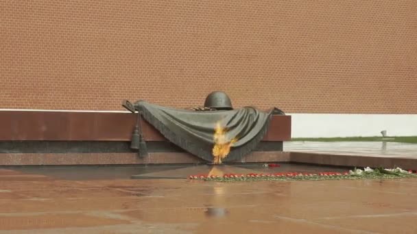 Eternal Flame - Tomb Of The Unknown Soldier — Stock Video