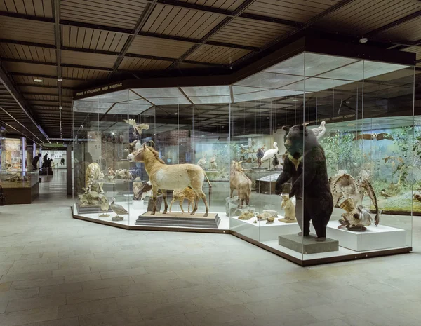 МОСКВА, РОССИЯ - 3 июня 2015 года: Государственный музей Дарвина — стоковое фото