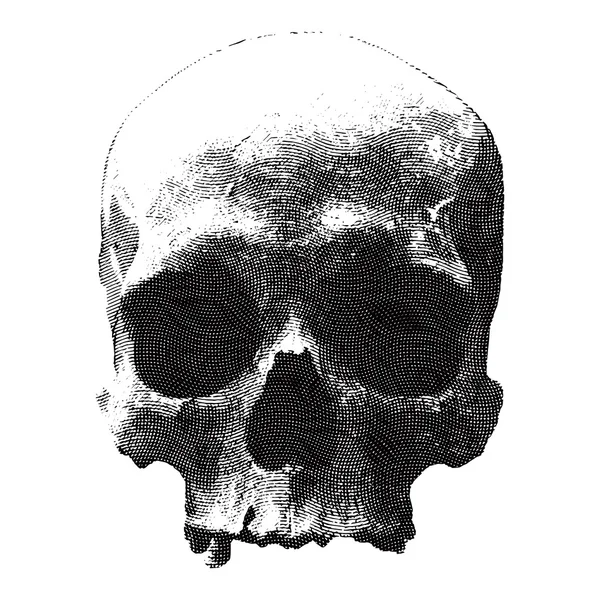 Engraved design for t-shirt print with skull — Stockvector