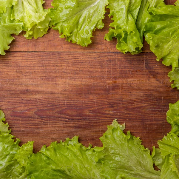 Cos lettuce isolated on wood board — ストック写真