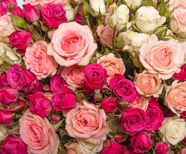 Assorted roses — Stock Photo © gilmanshin #77523008