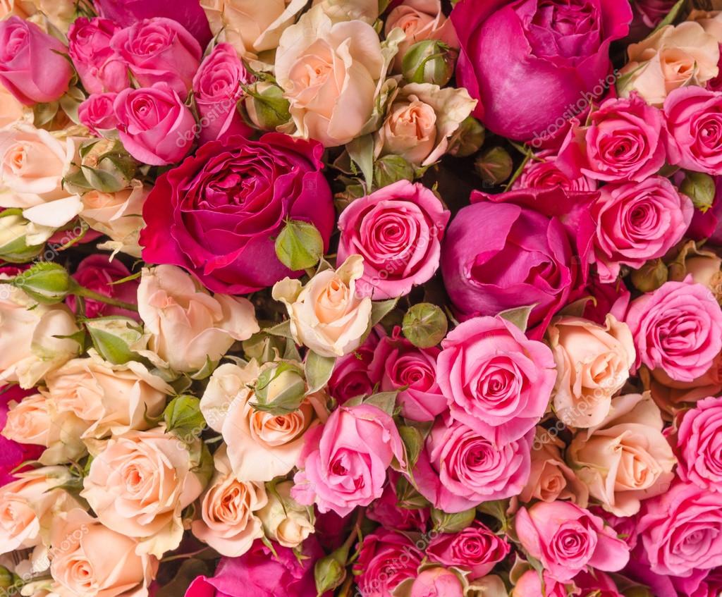 Assorted roses — Stock Photo © gilmanshin 77523008