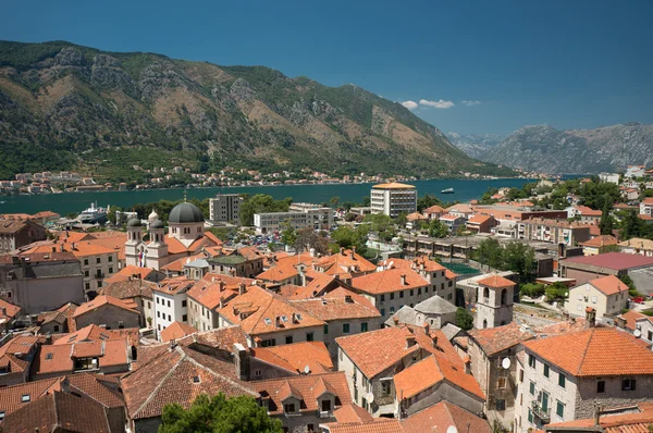 Toits de la vieille ville Kotor — Photo