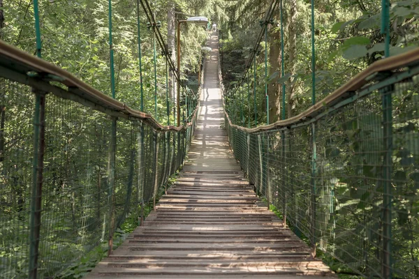 Paseo de cuerdas a través de las copas de los árboles en un bosque lluvioso — Foto de Stock