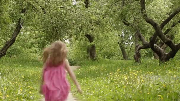 Feliz niña corriendo en el parque de verano — Vídeo de stock