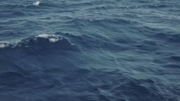 Sea wave close up, low angle view — Stock Video