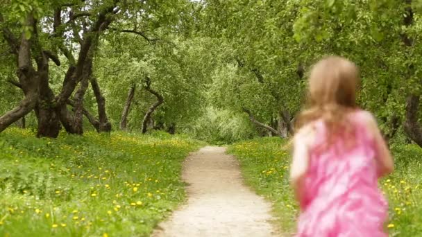 Щаслива маленька дівчинка біжить в літньому парку — стокове відео