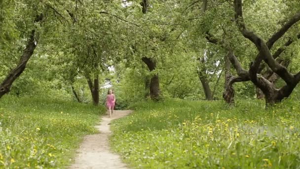 Счастливая маленькая девочка бегает в летнем парке — стоковое видео