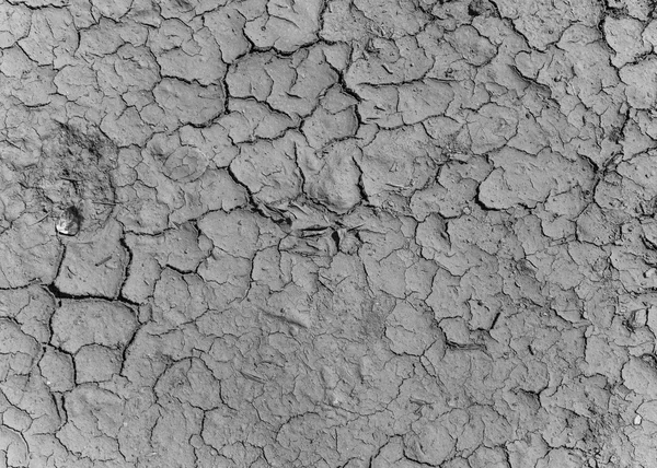Texture siccità terra arsa — Foto Stock