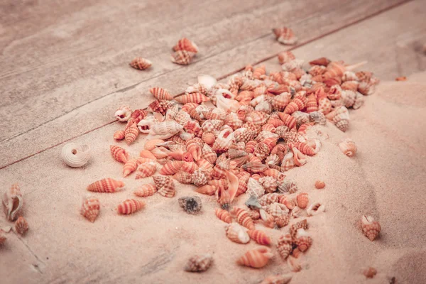 Moldura Seashells em fundo de madeira — Fotografia de Stock