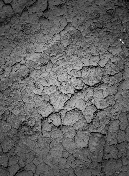 Textura seca terra seca — Fotografia de Stock
