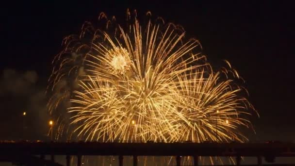 Kleurrijk vuurwerk van verschillende kleuren boven de nachtelijke hemel — Stockvideo
