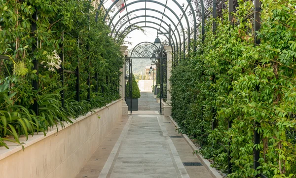 Green arcs made of tropical plants above pedestrian pathway — Stock Photo, Image