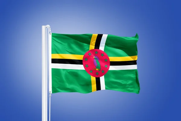 Vlag van Dominica vliegen tegen een blauwe hemel — Stockfoto