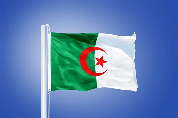 Flag of Algeria flying against a blue sky — Stock Photo, Image