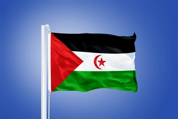 Bandeira da República Democrática Árabe Saaraui que arvora — Fotografia de Stock
