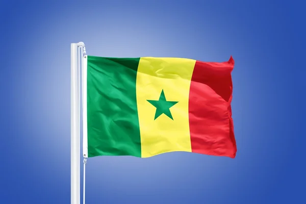 Mavi bir gökyüzü karşı uçan Senegal Cumhuriyeti bayrağı — Stok fotoğraf