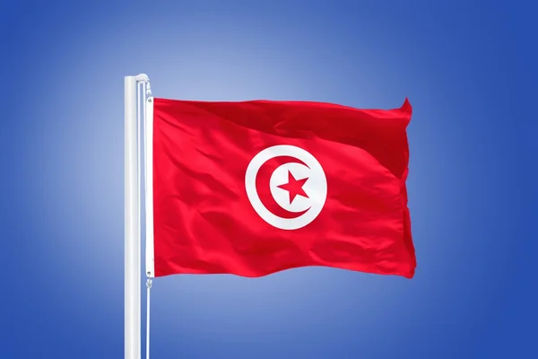 Flag of Tunisia flying against a blue sky — Stock Photo, Image