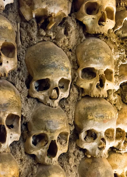 Wall full of skulls and bones — Stock Photo, Image