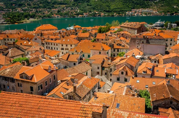 La vieille ville de Kotor — Photo