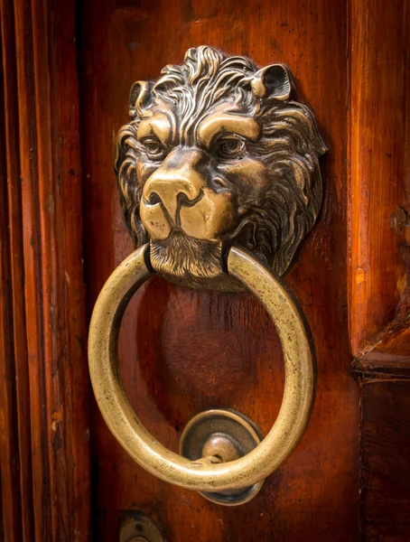 Batedor da porta da cabeça do leão — Fotografia de Stock