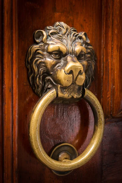 Lion Head Door Knocker