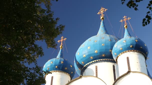 The Cathedral of the Suzdal Kremlin — Stock Video