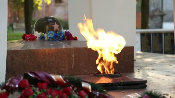 Eternal flame on the monument to unknown soldier — Stock Video
