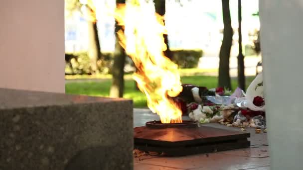 Eternal flame on the monument to unknown soldier — Stock Video