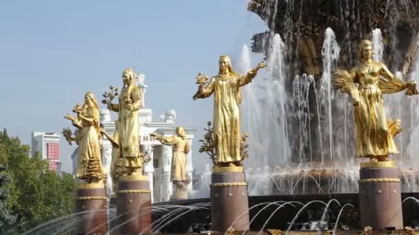 联合国在 Vdnkh 公园的喷泉的友谊 — 图库视频影像