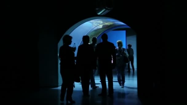 Ludzie stoją w Moskvarium największego oceanarium w Rosji — Wideo stockowe