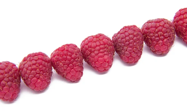 Himbeeren isoliert auf weißem Hintergrund — Stockfoto