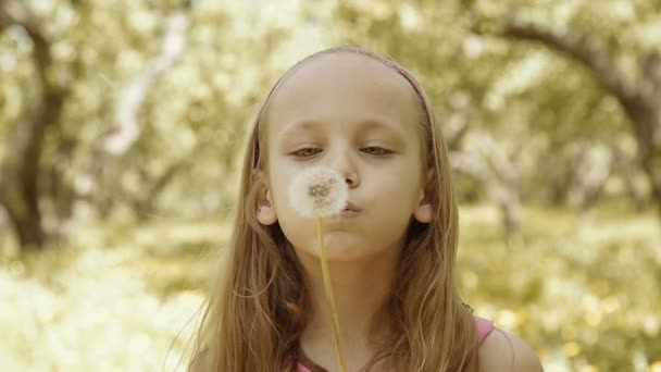 Una bambina adorabile soffia dente di leone — Video Stock