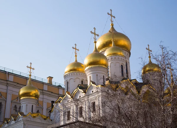 Собор Благовіщення в Кремлі — стокове фото