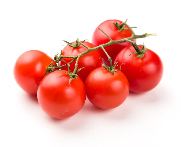 Tomates vermelhos maduros no ramo — Fotografia de Stock