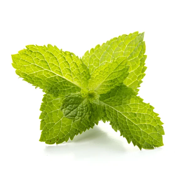 Hojas frescas de menta cruda aisladas en blanco — Foto de Stock