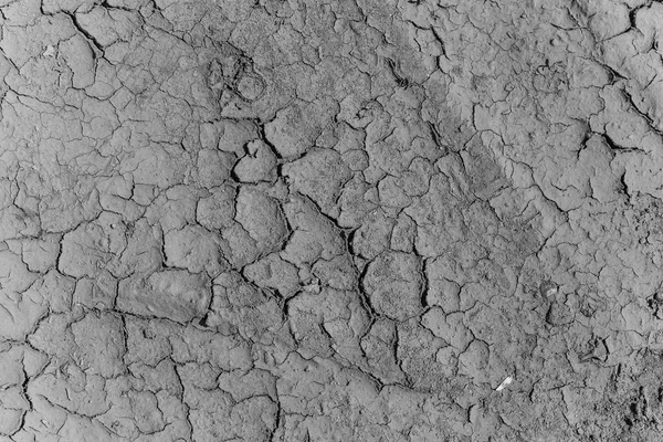 Close up textura seca terra seca — Fotografia de Stock