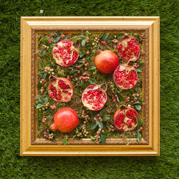 Granatäpple på gräs målning ram — Stockfoto