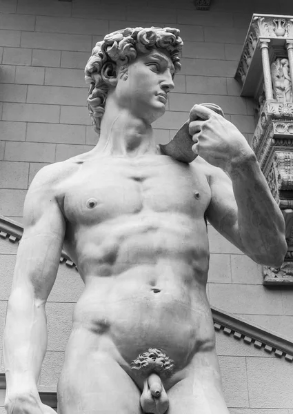 La statua del David dell'artista italiano Michelangelo — Foto Stock