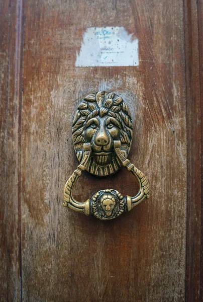 Doorknocker med chefen för lion — Stockfoto