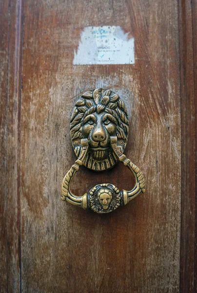 ライオンの頭を持つ doorknocker — ストック写真