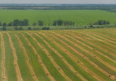 Krasnodar bölgesi, Rusya Federasyonu
