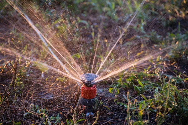 Sprinkler van automatische drenken — Stockfoto