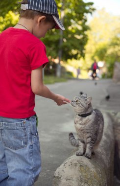 Gri kedi ve çocuk