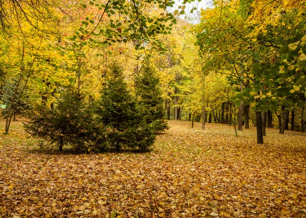 Herfst in de stad — Stockfoto