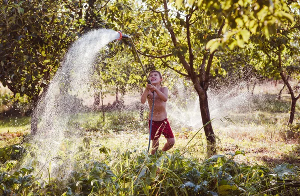 Watering of a garden — Stock Photo, Image