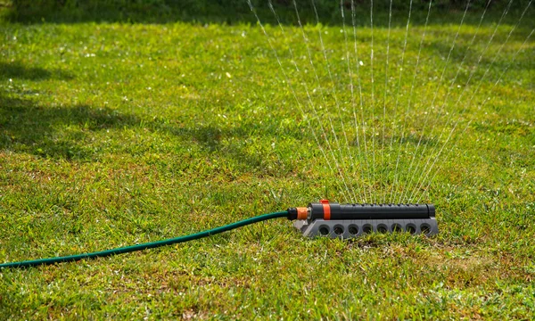 Het Sproeien Van Water Groen Gazon — Stockfoto